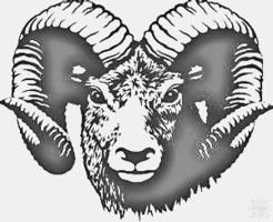 Polar Engraving